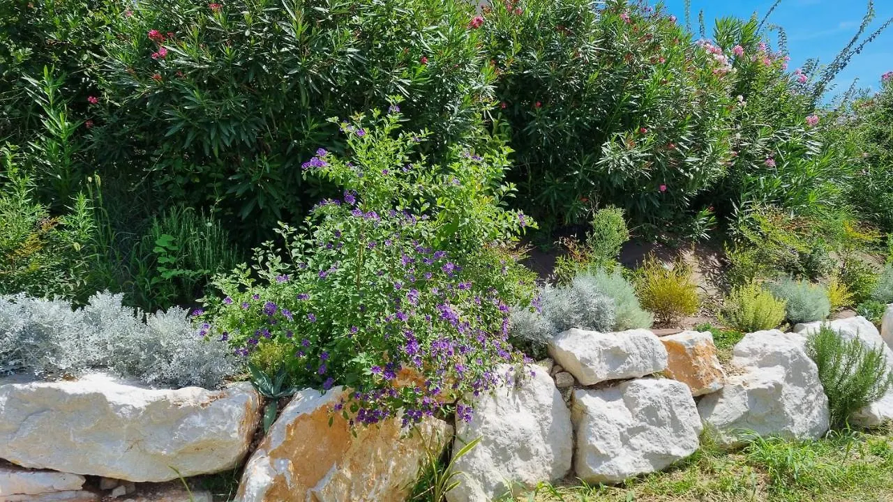 Antica Dimora Dei Gelsi Bed & Breakfast Manerba del Garda